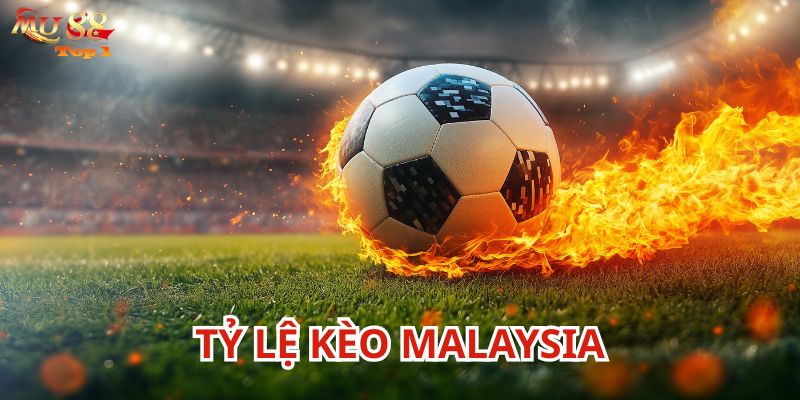 Tỷ Lệ Kèo Malaysia là dạng kèo ai cũng biết